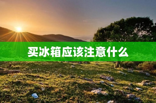 买冰箱应该注意什么 买冰箱应该注意什么