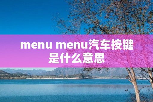 menu menu汽车按键是什么意思