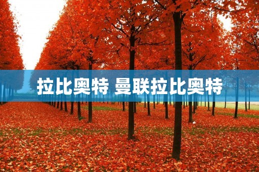 拉比奥特 曼联拉比奥特 拉比奥特 曼联拉比奥特