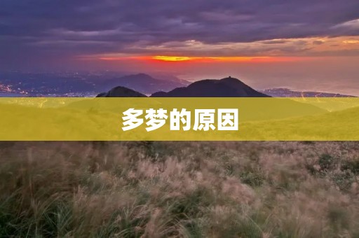 多梦的原因：探寻梦境背后的心理隐藏
