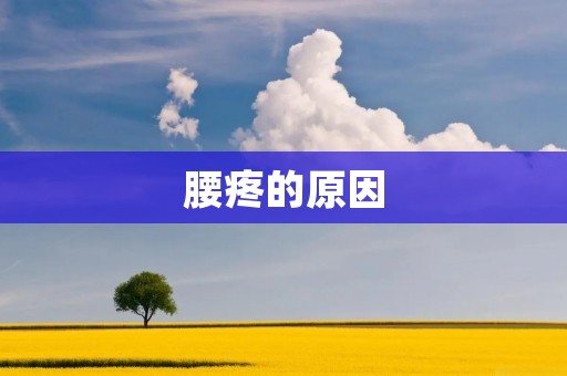 腰疼的原因:从生活习惯到疾病因素全面解析 腰疼的原因:从生活习惯到疾病因素全面解析