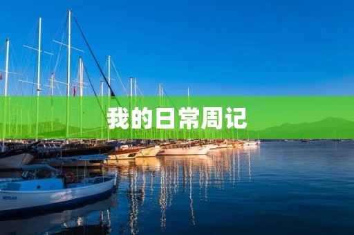 我的日常周记 我的日常周记