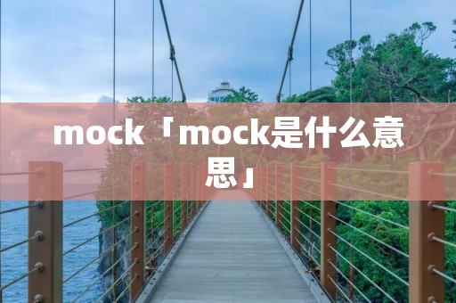mock「mock是什么意思」