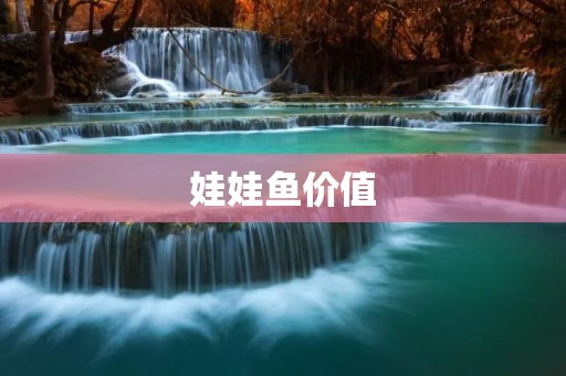 娃娃鱼价值：美丽的观赏鱼
