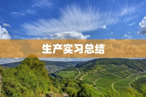 生产实习总结:从实践中学习,从经验中成长
