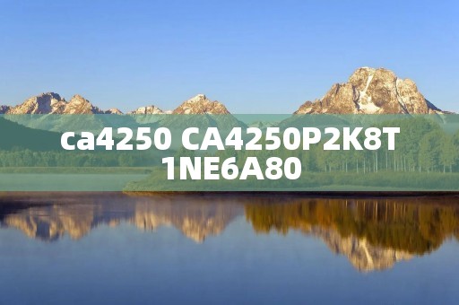 ca4250 CA4250P2K8T1NE6A80 ca4250 CA4250P2K8T1NE6A80