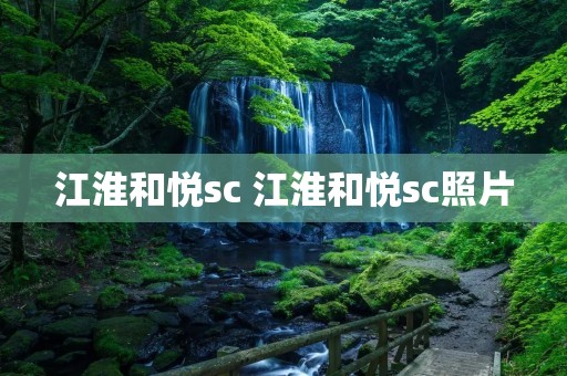 江淮和悦sc 江淮和悦sc照片
