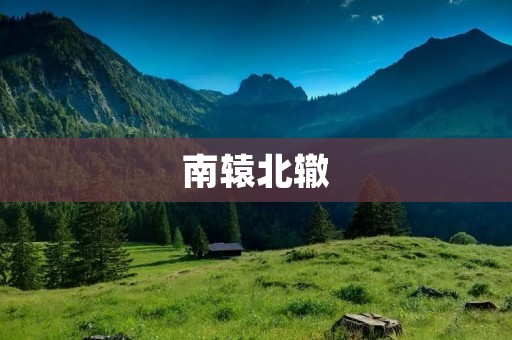 南辕北辙:如何化解生活中的矛盾