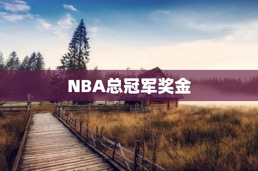 NBA总冠军奖金：奋斗的背后