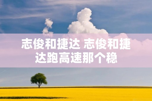 志俊和捷达 志俊和捷达跑高速那个稳
