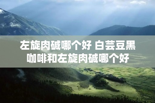 左旋肉碱哪个好 白芸豆黑咖啡和左旋肉碱哪个好 左旋肉碱哪个好 白芸豆黑咖啡和左旋肉碱哪个好