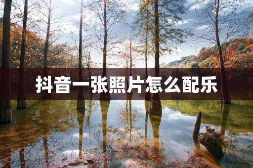 抖音一张照片怎么配乐