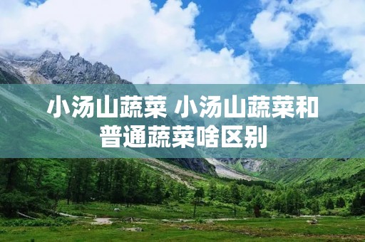 小汤山蔬菜 小汤山蔬菜和普通蔬菜啥区别 小汤山蔬菜 小汤山蔬菜和普通蔬菜啥区别