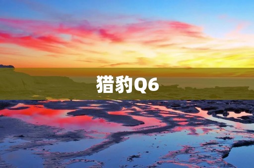 猎豹Q6:一款性能出色的SUV 猎豹Q6:一款性能出色的SUV