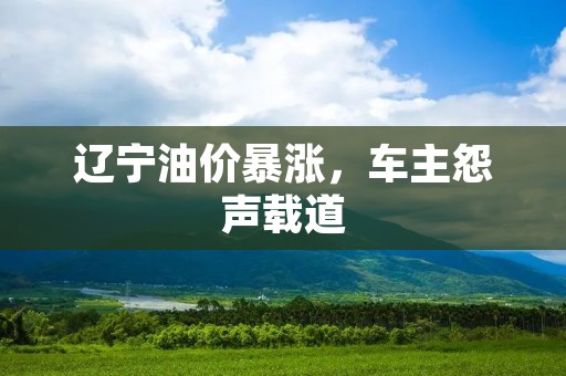 辽宁油价暴涨，车主怨声载道