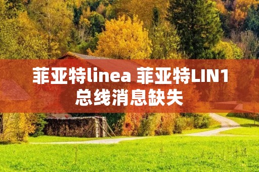 菲亚特linea 菲亚特LIN1总线消息缺失 菲亚特linea 菲亚特LIN1总线消息缺失