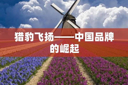 猎豹飞扬——中国品牌的崛起 猎豹飞扬——中国品牌的崛起
