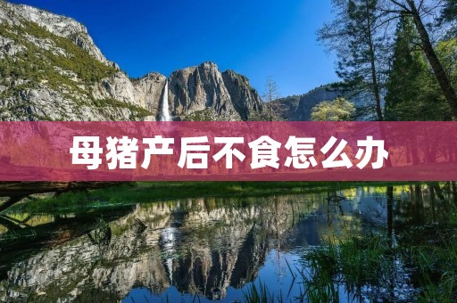 母猪产后不食怎么办：原因及解决方法