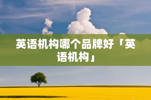 英语机构哪个品牌好「英语机构」