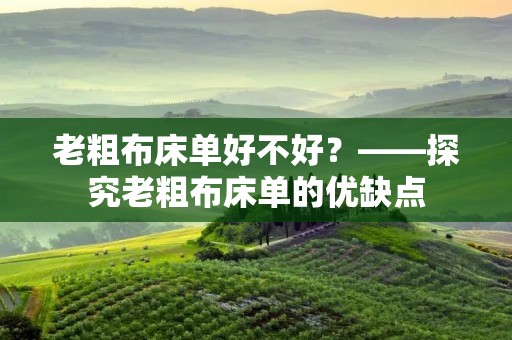 老粗布床单好不好？——探究老粗布床单的优缺点