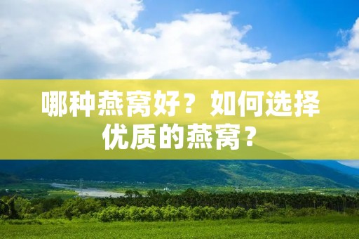哪种燕窝好？如何选择优质的燕窝？