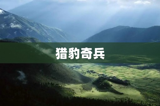 猎豹奇兵：一款打破常规的多人竞技手游