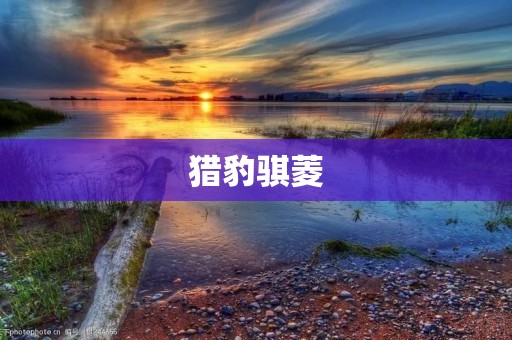 猎豹骐菱：中国最具性价比的SUV