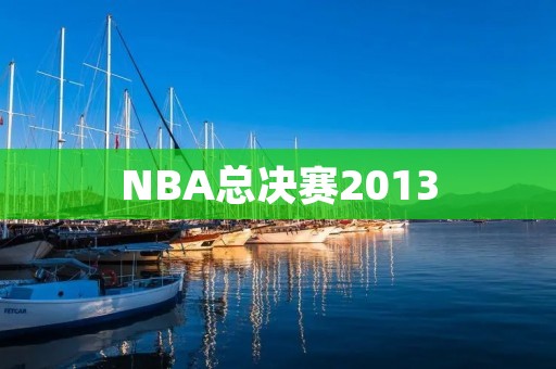 NBA总决赛2013：热火反弹夺冠，詹姆斯成为FMVP