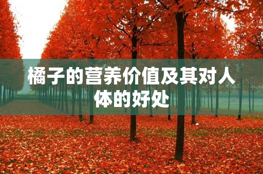 橘子的营养价值及其对人体的好处 橘子的营养价值及其对人体的好处
