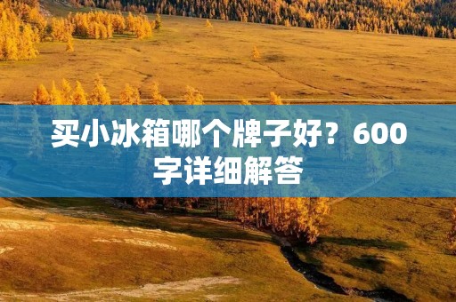 买小冰箱哪个牌子好?600字详细解答 买小冰箱哪个牌子好?600字详细解答
