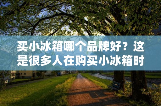 买小冰箱哪个品牌好？这是很多人在购买小冰箱时经常会遇到的问题。小冰箱因其小巧便捷的特点，受到了很多人的喜爱，尤其是在一些小户型或是单身公寓中，更是成为了必备家电之一。但是，市面上小冰箱品牌繁多，各式各样的型号、功能和价格也让人眼花缭乱。那么，究竟哪个品牌的小冰箱更值得购买呢？下面就让我们一起来看看。