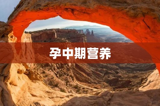 孕中期营养：让宝宝更加健康成长
