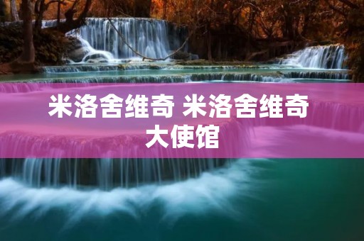米洛舍维奇 米洛舍维奇 大使馆