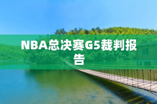 NBA总决赛G5裁判报告：裁判漏判和误判引发争议