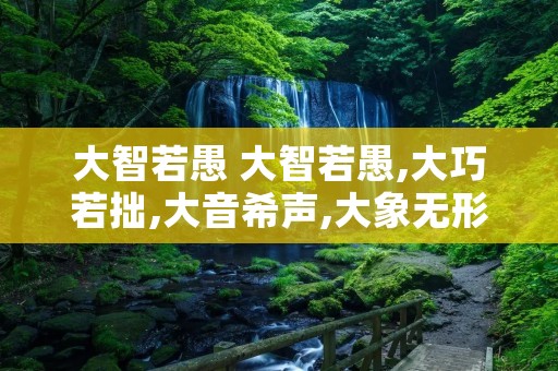 大智若愚 大智若愚,大巧若拙,大音希声,大象无形