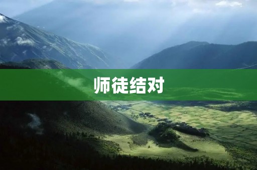 师徒结对:传承与成长
