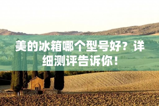 美的冰箱哪个型号好?详细测评告诉你! 美的冰箱哪个型号好?详细测评告诉你!