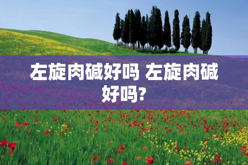左旋肉碱好吗 左旋肉碱好吗?