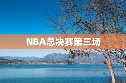 NBA总决赛第三场：勇士险胜猛龙