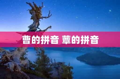 曹的拼音 蕈的拼音