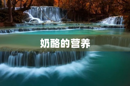 奶酪的营养:让你更了解这种美味的食品 奶酪的营养:让你更了解这种美味的食品