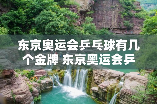 东京奥运会乒乓球有几个金牌 东京奥运会乒乓球总共有几枚金牌