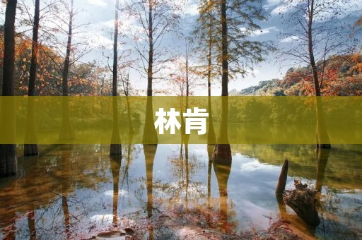 林肯:伟大的美国总统 林肯:伟大的美国总统