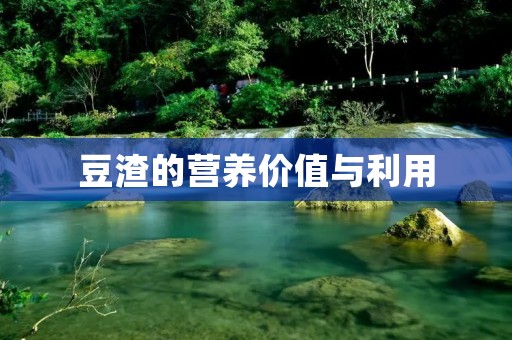 豆渣的营养价值与利用 豆渣的营养价值与利用