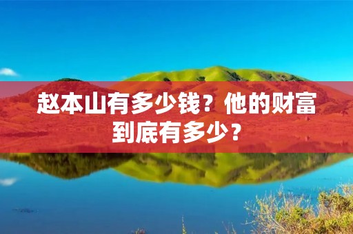 赵本山有多少钱？他的财富到底有多少？