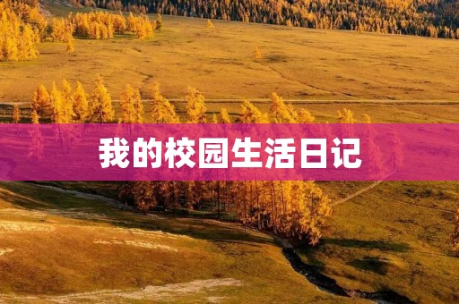 我的校园生活日记