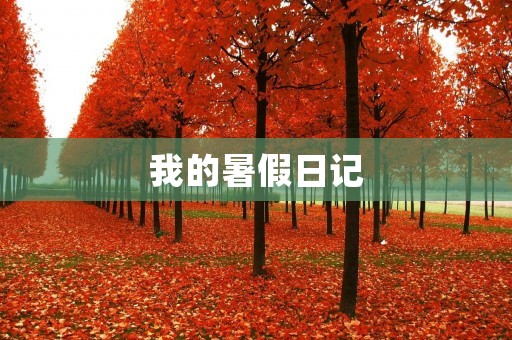 我的暑假日记