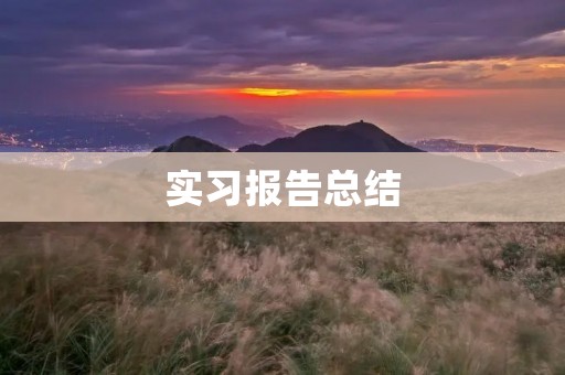 实习报告总结:我的实习经历