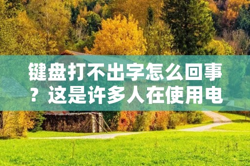 键盘打不出字怎么回事?这是许多人在使用电脑时遇到的问题。当你需要在电脑上输入文字时,如果发现键盘无法输入,那么你应该怎么办呢?