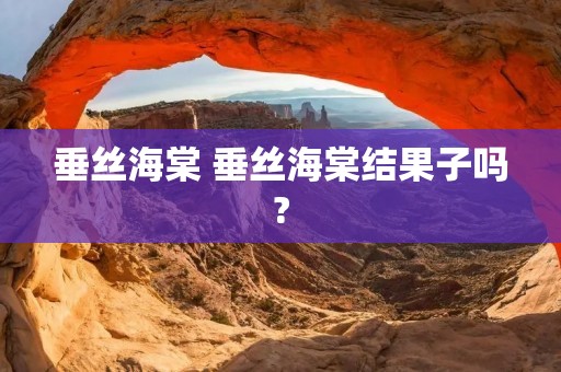 垂丝海棠 垂丝海棠结果子吗?